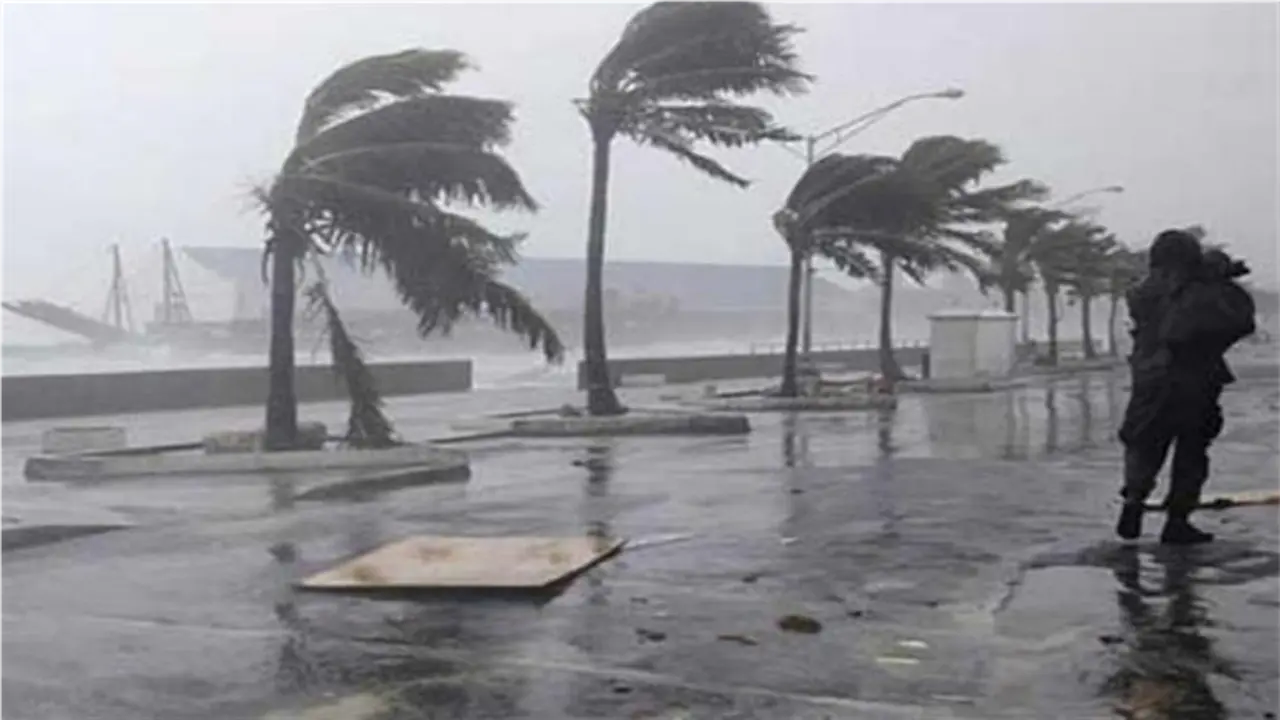 أسبوع برودة قارسة.. الأرصاد تحذر 6 محافظات من أمطار رعدية وضباب كثيف